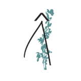 Logo de l'entreprise