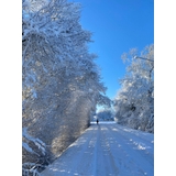 Logo de l'entreprise