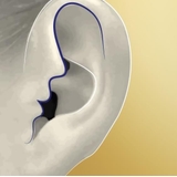 Logo de l'entreprise